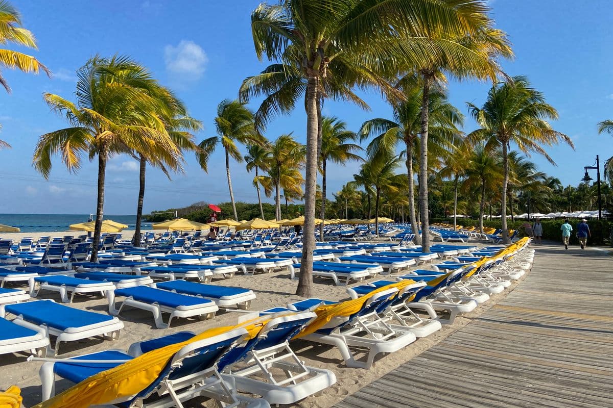 Tropical beach with palm trees and lounge chairs